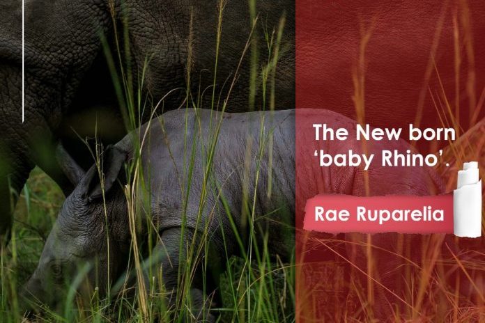 Uganda’s newest baby rhinoceros named Rae Ruparelia Uganda’s newest baby rhinoceros named Rae Ruparelia-ruparelia-foundation